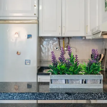 Pedra Dos Bicos By Intiholidays Апартаменты